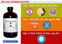 tác hại chất Formaldehyde Fomandehit lên sức khỏe con người
