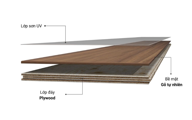 cấu tạo ván ép plywood