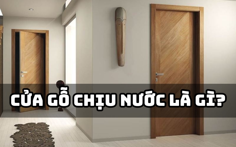 cửa gỗ chịu nước