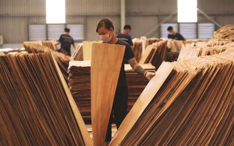 ván gỗ plywood trong công nghiệp